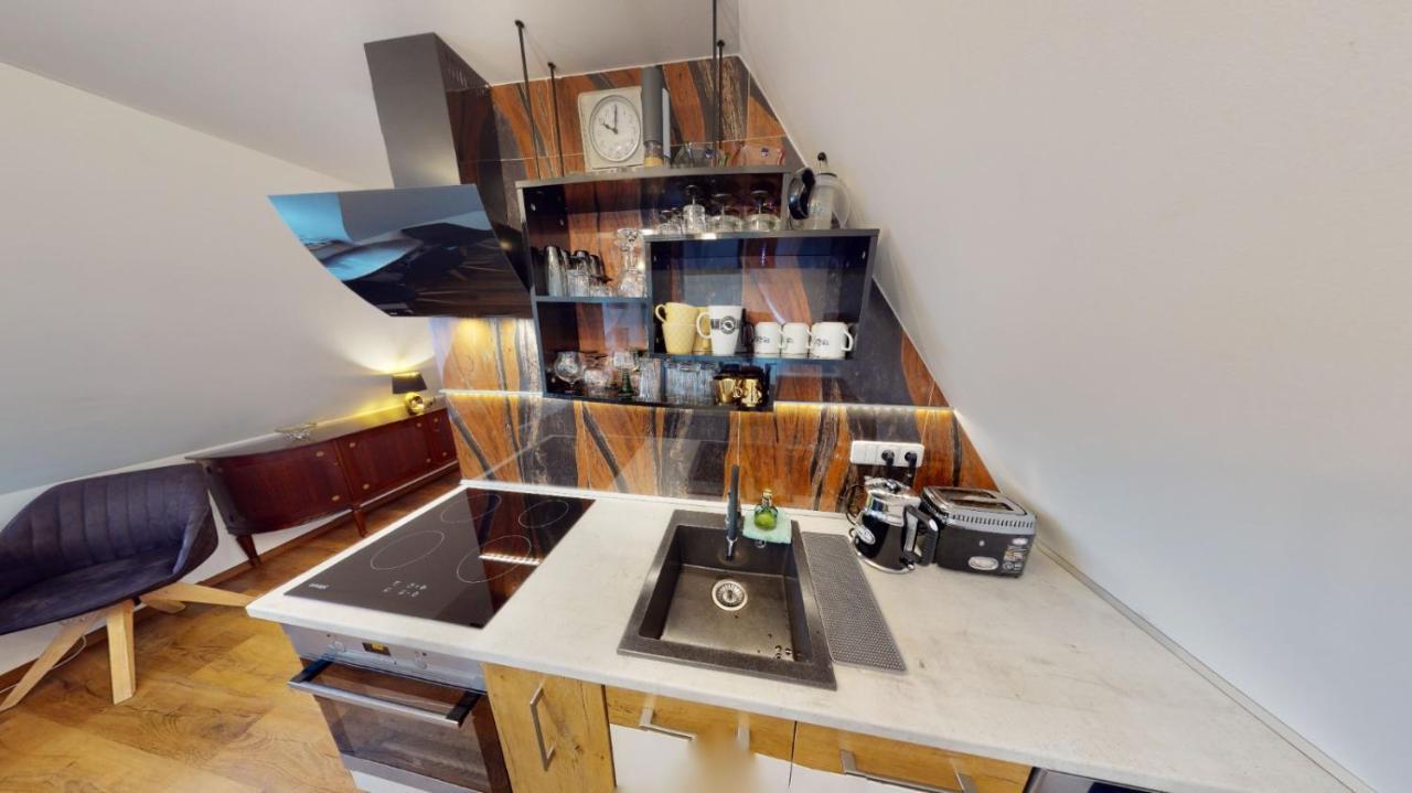 Apartman Atelier Vary V Nove Zrekonstruovanem Dome 카를로비바리 외부 사진
