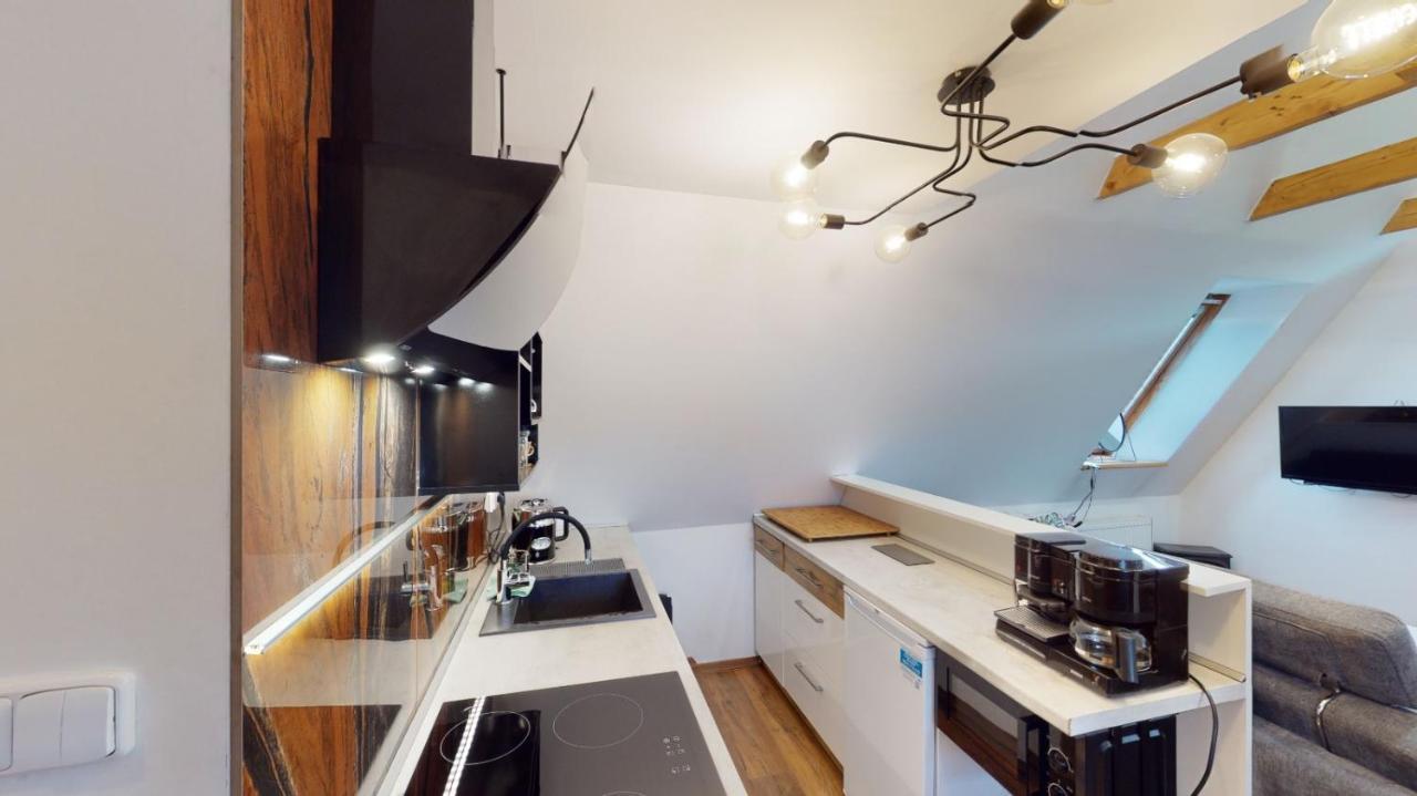 Apartman Atelier Vary V Nove Zrekonstruovanem Dome 카를로비바리 외부 사진